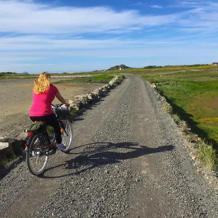 View Lofoten Chalet Bostad