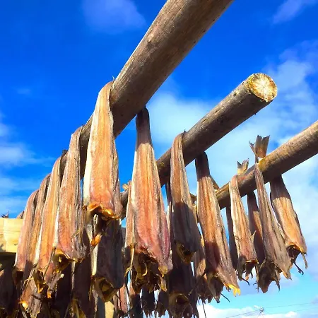 Chalet View Lofoten *