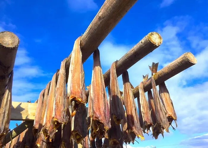 Dağ evi View Lofoten *