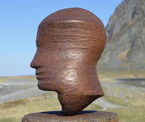 View Lofoten Dağ evi