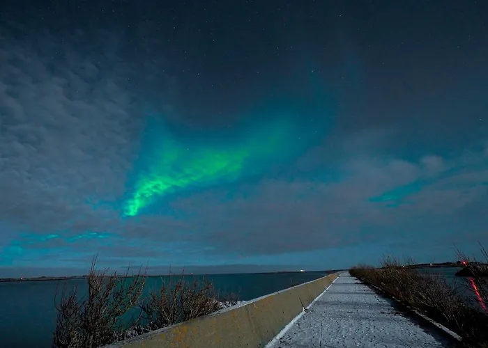 View Lofoten Dağ evi *