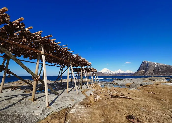 View Lofoten Bostad